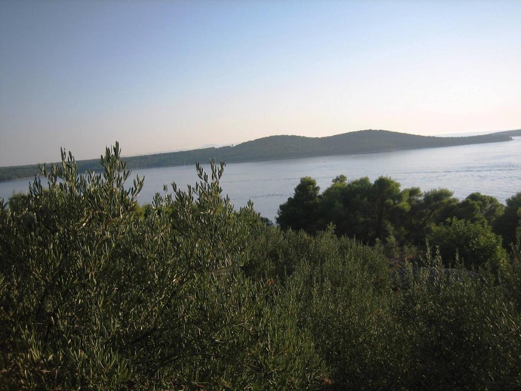 Robinson House Kata Villa Milna  Oda fotoğraf
