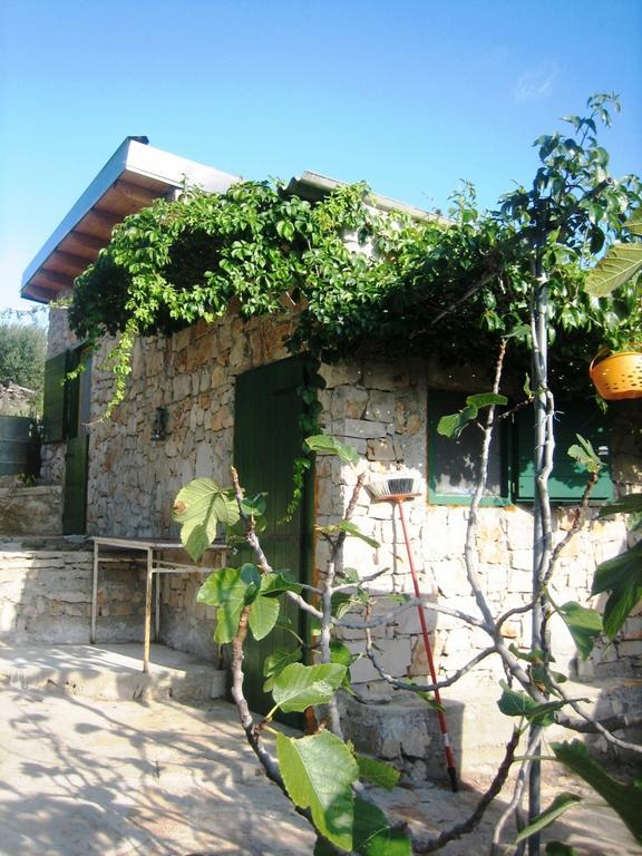 Robinson House Kata Villa Milna  Oda fotoğraf