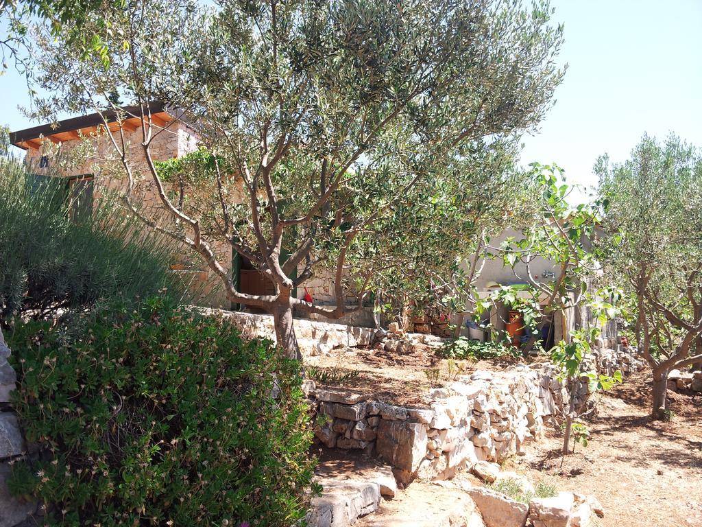 Robinson House Kata Villa Milna  Dış mekan fotoğraf